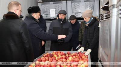 Головченко: на внутреннем рынке достаточно овощей, цены регулируются
