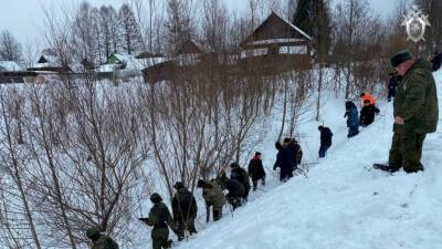 Новгородские волонтеры рассказали подробности поисков девочки, которая умерла в сугробе
