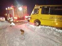На Житомирщине из-за снежных заносов школьный автобус с детьми снесло с дороги в поле