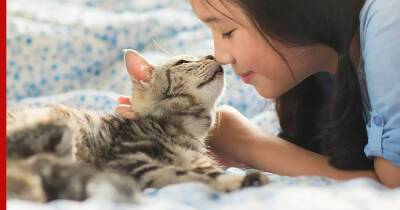 Психолог и физиотерапевт: 4 причины завести кошку