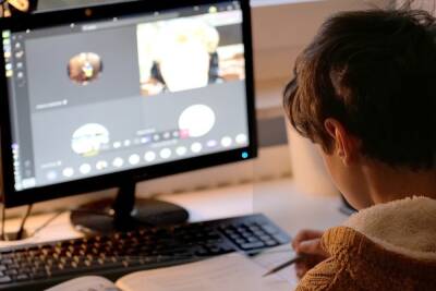 Учащихся воронежских школ с 5 по 11 класс переводят на онлайн-обучение