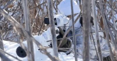 Россия усиливает оккупантов ОРДЛО снайперами и ПТРК, - разведка