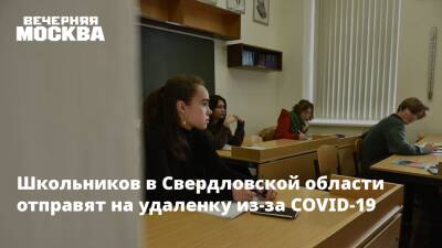 Школьников в Свердловской области отправят на удаленку из-за COVID-19