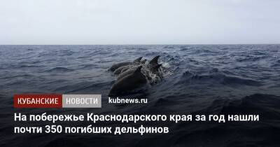 На побережье Краснодарского края за год нашли почти 350 погибших дельфинов
