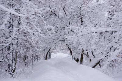 Какая погода ждет украинцев в последний месяц зимы: прогноз Укргидрометцентра