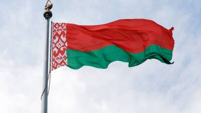 Следить за референдумом в Беларуси будут 100 – 120 наблюдателей от СНГ