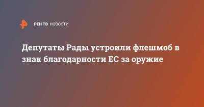 Депутаты Рады устроили флешмоб в знак благодарности ЕС за оружие