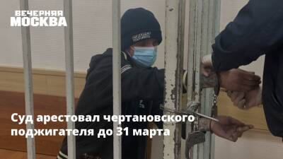 Суд арестовал чертановского поджигателя до 31 марта