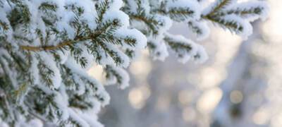 Снежная погода ждет жителей Карелии 2 февраля
