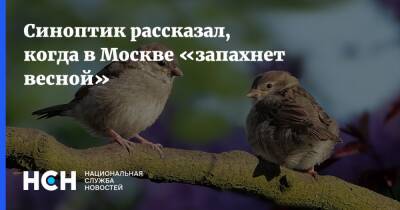 Синоптик рассказал, когда в Москве «запахнет весной»