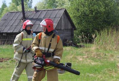 В прошлом году пожарные потушили около 900 возгораний в Ленобласти