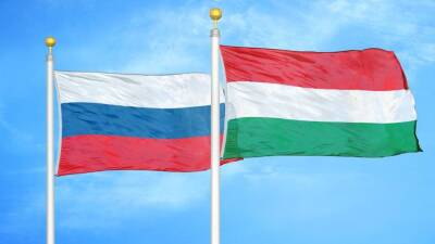 Политолог Топорнин высказался об отношениях России и Венгрии