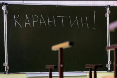 В Ярославской области 35 школ ушли на карантин