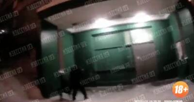 Хозяин пса, застреленного полицейскими в Москве, был пьян