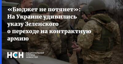 «Бюджет не потянет»: На Украине удивились указу Зеленского о переходе на контрактную армию
