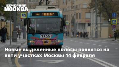 Новые выделенные полосы появятся на пяти участках Москвы 14 февраля