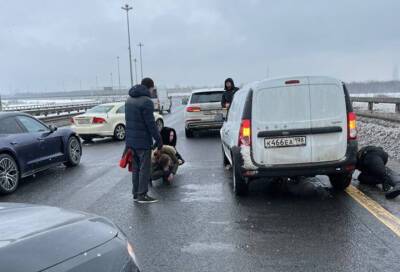 На ЗСД автомобилист спас щенка, забившегося под машину