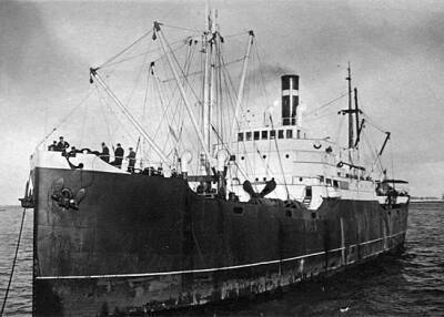 Катастрофа «Индигирки»: как «советский Титаник» едва не убил Сергея Королёва - Русская семерка