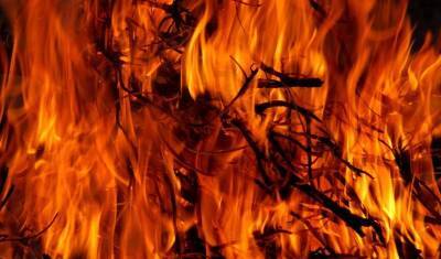 Жительницу Екатеринбурга будут судить за сожжение человека