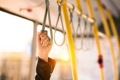 Экспресс-автобусы вышли на новый маршрут Мурино – станция метро «Озерки»