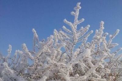 В среду в Воронежской области ожидается плюсовая температура и мокрый снег