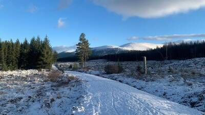 Шотландию засыпало снегом на Рождество