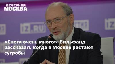 «Снега очень много»: Вильфанд рассказал, когда в Москве растают сугробы