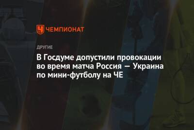 В Госдуме допустили провокации во время матча Россия — Украина по мини-футболу на ЧЕ