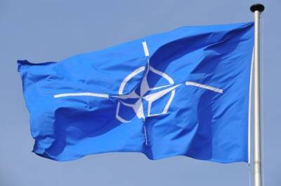 Путин заявил, что НАТО «кинула» Россию в обещании не расширяться на восток
