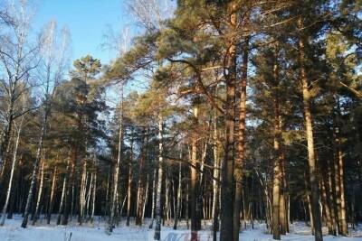 В четверг в Красноярске ожидается похолодание до -31 градуса и гололедица