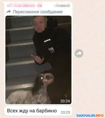 "Жарю собаку, с кем поделиться": сахалинцы нашли жуткую группу в WhatsApp