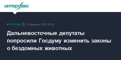 Дальневосточные депутаты попросили Госдуму изменить законы о бездомных животных