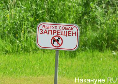 В четырех парках Екатеринбурга могут запретить вырубку деревьев и выгул собак
