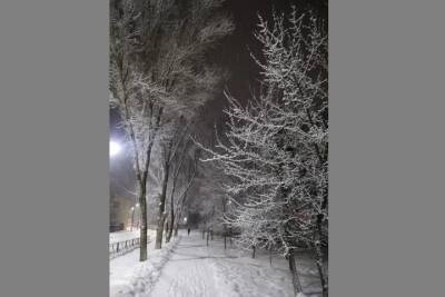 Брянск за ночь завалило снегом