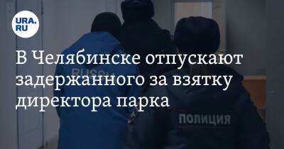 В Челябинске отпускают задержанного за взятку директора парка. Инсайд