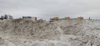 На севере Петербурга нашли нелегальную свалку снега. Заявление прокуратуры