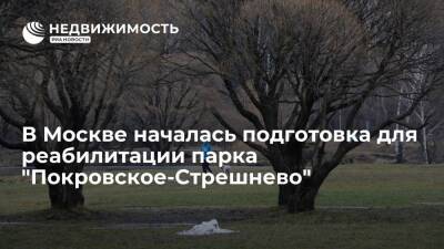 В Москве началась подготовка для реабилитации парка "Покровское-Стрешнево"