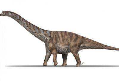 В Европе нашли останки гигантского динозавра (фото)