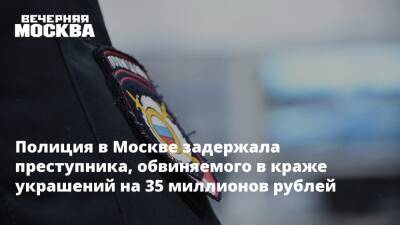 Полиция в Москве задержала преступника, обвиняемого в краже украшений на 35 миллионов рублей - vm.ru - Москва - Россия