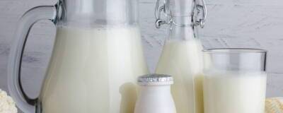 Российские ученые создают новые молочные продукты для оздоровления после COVID-19