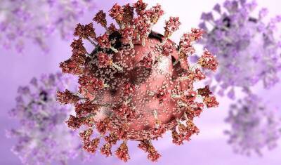 Вакцинированные и переболевшие имеют Т-клеточный иммунитет против омикрона