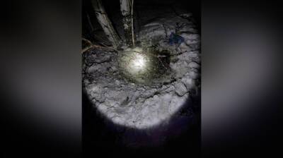 Перед смертью потерявшийся 18-летний воронежец ночевал в снегу: появились фото