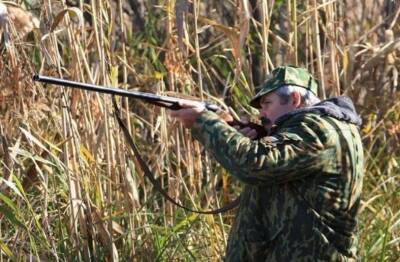 В Тюменской области разрешили охоту на ворон, которые угрожают популяции уток и зайцев