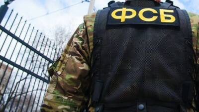 ФСБ задержала 14 человек, причастных к рассылке об угрозах взрыва в России и Донбассе