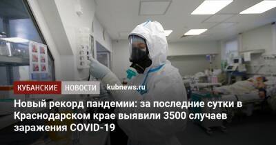 Новый рекорд пандемии: за последние сутки в Краснодарском крае выявили 3500 случаев заражения COVID-19