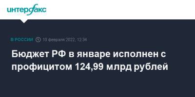 Бюджет РФ в январе исполнен с профицитом 124,99 млрд рублей