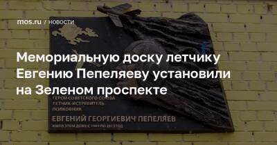 Мемориальную доску летчику Евгению Пепеляеву установили на Зеленом проспекте