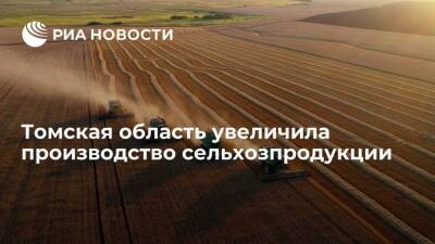 Томская область за год увеличила производство сельхозпродукции до 40 миллиардов рублей