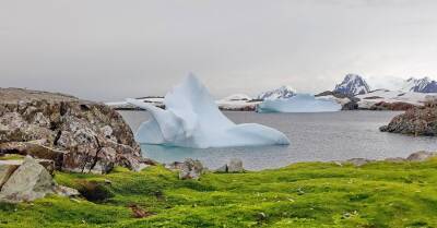В Антарктиде на станции "Академик Вернадский" установлен температурный рекорд