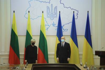 Литва передасть Україні ПЗРК Stinger та відновлює програми реабілітації українських солдат
